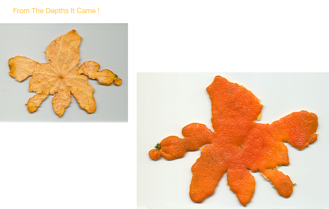 Tangerine peels