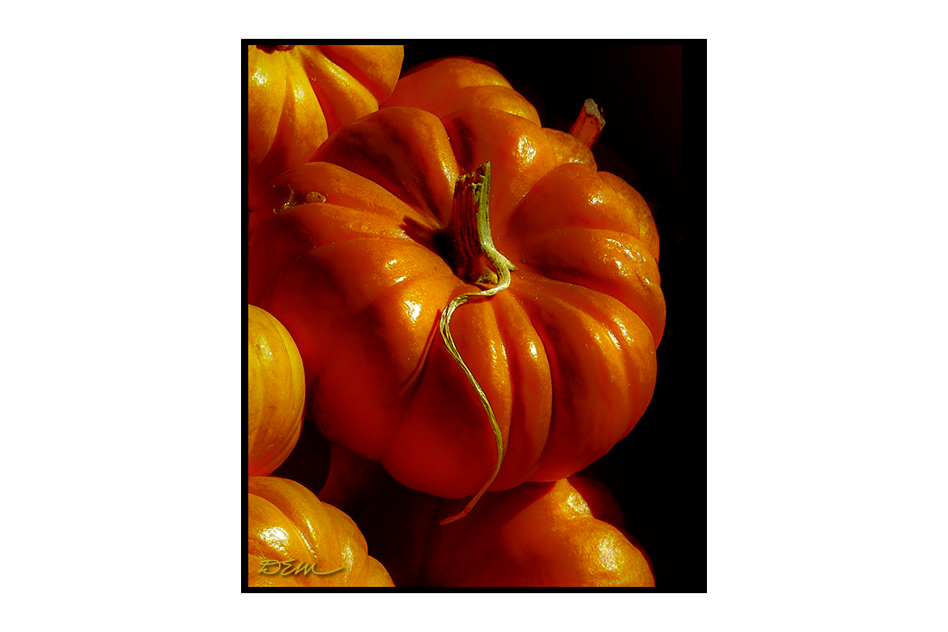 Fine Art picture of a Small Pumpkin